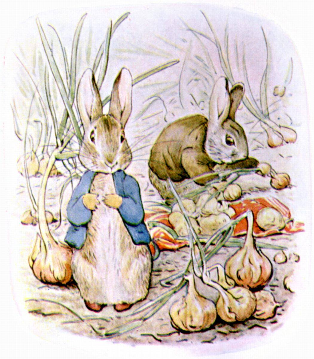 Peter Rabbit Illustration by Beatrix Potter Maria Lang
